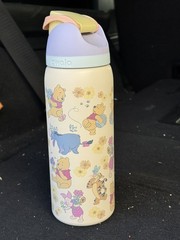 Owala Winnie the Pooh Disney Owala Free Sip 32oz