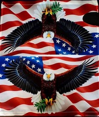 Magnetic Patriotic Flag with Eagle Mailbox Cover – July 4 / anytime ( 21″ x 18″)