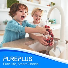 PUREPLUS 1-Stage Whole House Water Filter,with Universal Housin,for Well Water
