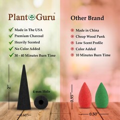 100 Jumbo Charcoal Incense Cones 2″ BACKFLOW Bulk Waterfall Burner Holder Censer