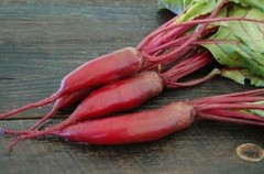 200 Plus Cylindra Beet Seeds-NON GMO-Open Pollinated-Organic