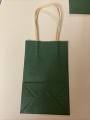 Set Of 12 Green Gift Bags With Jute Handles. New. Christmas Or Anytime Gifts.