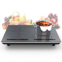 Induction Cooktop Electric Cooktop 2 Burner Electric Stovetop 110V Touch Control