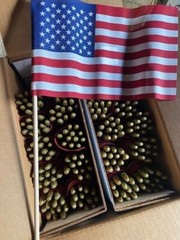 (Case of 288) Flag 8″x12″ USE8D SMALL Stick United States US American Cemetery