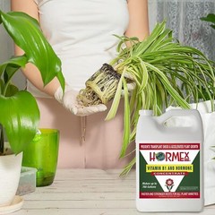 Hormex Vitamin B1 & Rooting Hormone Concentrate – Maximize Plant Growth & Health