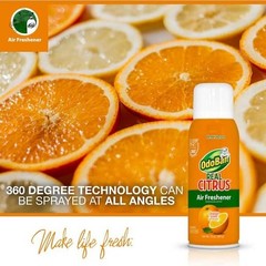 2-Pack OdoBan Real Citrus Orange Air Freshener 360 Continuous Spray, 10 Oz