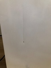7 Cuft Avanti 2 Door White Refrigerator For Pick up Only