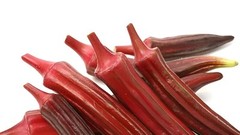 60 Heirloom Red Burgundy Okra Seeds – Tender Pods, Easy Harvest, Easy To Grow!