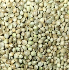 Premium Kosher Hemp Seed Nuts – 100% Food Grade & Nutrient-Rich!