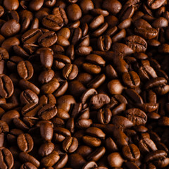 Ethiopian Yirgacheffe Coffee Beans Roasted Daily Medium 2 Bags 1 Pound Each