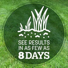 Pennington Kentucky 31 Tall Fescue Grass Seed Sun to Partial Shade 20 lb Bag New