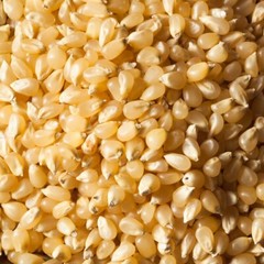 1 Lb Country Gentleman Corn Seeds – Everwilde Farms Mylar Seed Packet