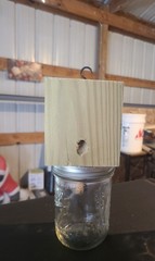 Set of 4 handmade carpenter bee traps 4 for 40 free shipping !!