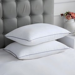 King Size Egyptian Cotton Pillow Protectors with Zipper 2 Pack 20 x 36″