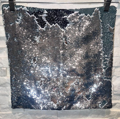 NWOT HARRY STYLES Reversible Flip Sequin Pillowcase Silver & Tan 15″x15″