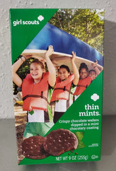 Girl Scouts ADVENTUREFULS, LEMONADES, THIN MINTS COOKIES (PLS READ DESCRIPTION)