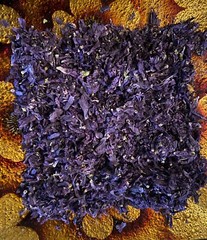 Blue Mallow Petals or Flowers Wild Harvested Dried Herbal Tea Malva Sylvestris