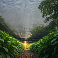 80% UV Sunblock Shade Cloth for Plant Cover Greenhouse Barn MANY SIZES