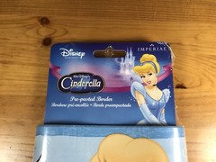 Walt Disney Princesse Cinderella Pre Pasted Wall Border 5 Yards 4.57m X 23cm New