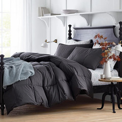 The Company Store LaCrosse Premium LoftAIRE Down Alternative Warmth Comforter