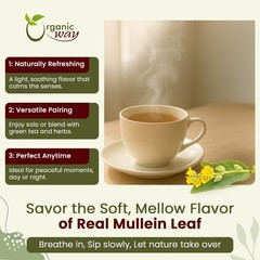Organic Way Mullein Leaf Cut & Sifted – Organic, Kosher & USDA Certified