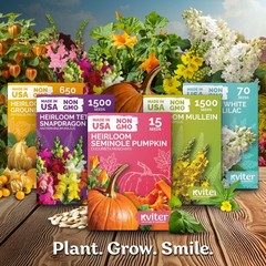 KVITER 1000 Lambs Quarters Seeds (Chenopodium Album)