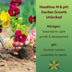 100 Soil Test Strips pH & Nitrogen Tester Kit Garden Lawn Plant Soil Test Kit