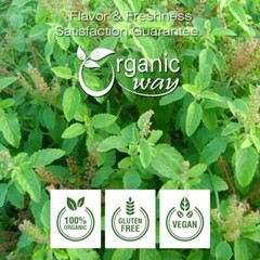 Organic Holy Tulsi Herb Powder