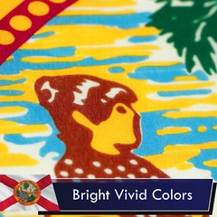 3×5 State of Florida Flag 3’x5′ House Banner Polyester Premium