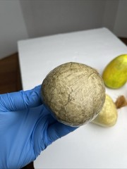 Vintage Paper Mache Faux Food Vegetables & Fruit Lot of 5 Handmade Garlic Pear