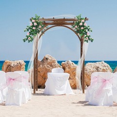8 FT Wooden Garden Arbor Arches Wedding Party Arch for Climbing Plant