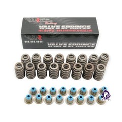 BTR TRUCK NORRIS Cam Kit with Pushrods, Delphi Lifters & Trays LS 4.8 5.3 6.0