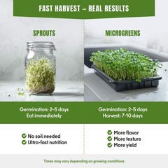 Microgreens & Sprouting Seeds Variety Pack, 10 Varieties, Non-GMO, 12550+ Seeds