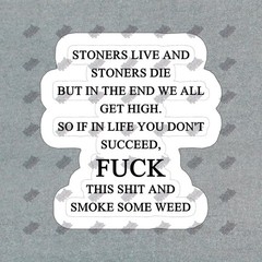 Funny Weed Quote Vinyl Sticker Stoner Humor Decal Perfect for #346680