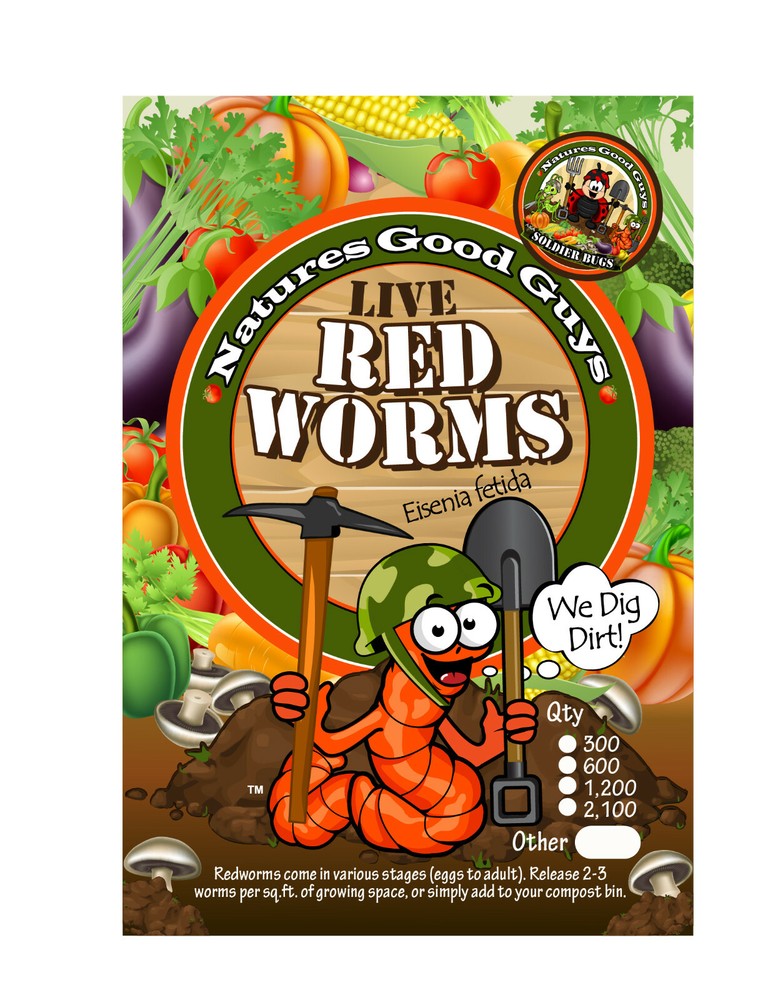 NaturesGoodGuys Live Red Worms 600 Adults – Red Wigglers