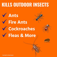 TERRO 3 lb Ant Killer Plus Multi-Purpose Insect Control 2pack