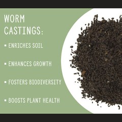 Organic Worm Castings, All Natural Soil Amendment, Soil Builder, and Fertilize