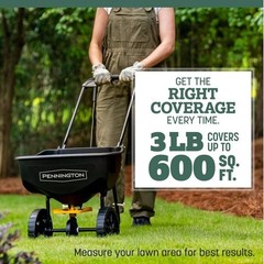 Kentucky 31 Tall Fescue Penkoted Grass Seed 3 Lb