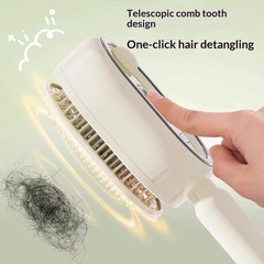 Electric Spray Airbag Massage Comb With Essential Oil Atomization For Hair Nouri