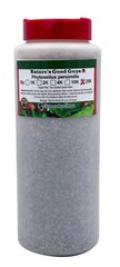 NaturesGoodGuys – Phytoseiulus persimilis – Predatory Spider Mite Control