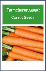 Tendersweet Carrot Seeds | NON-GMO Carrot Seeds | Fresh Heirloom Garden Seeds