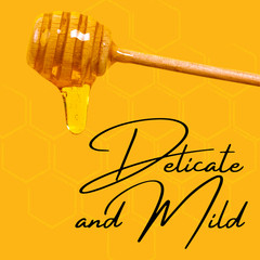 6 lbs of PURE Unfiltered Bulk Raw Wildflower Honey Jug – Half Gallon of Honey