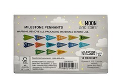 Moon and Stars Paper Milestone Pennant Set 14pc 0-12 Months 1st Birthday