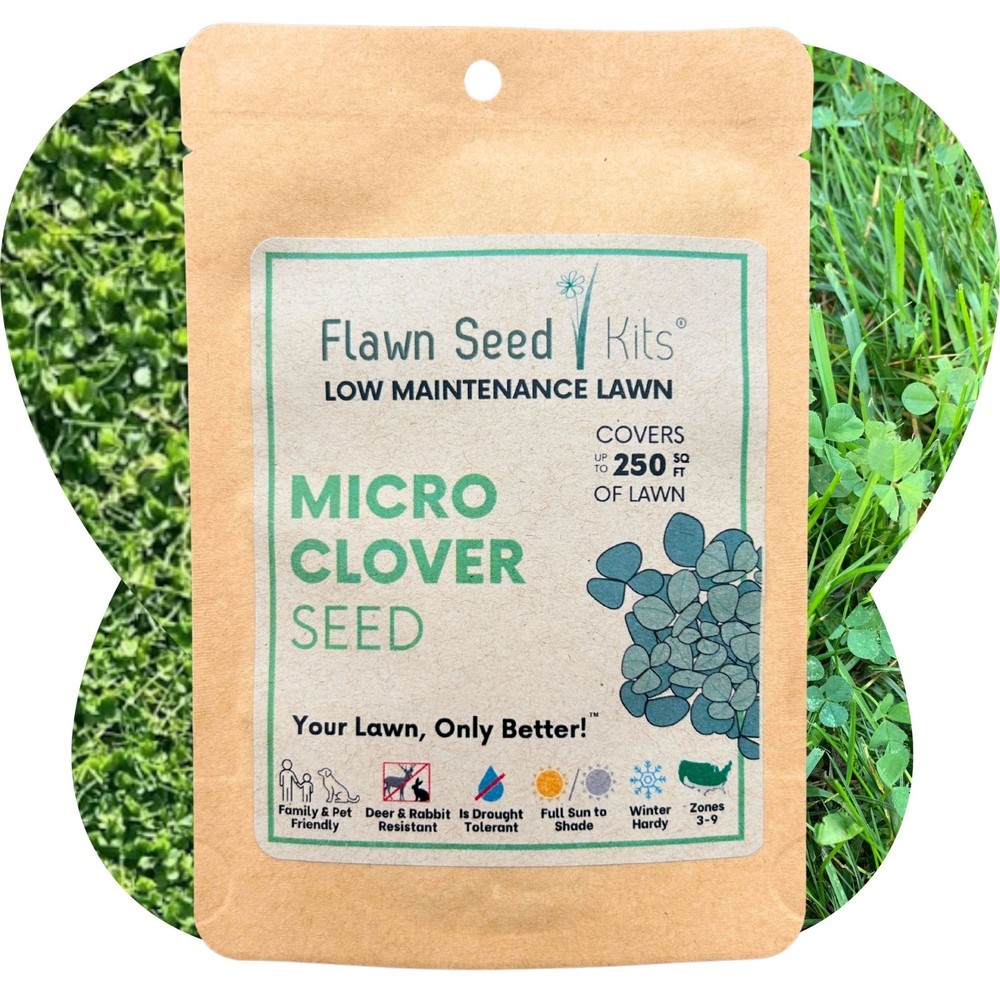 Micro Clover Seed, Organic Coated, Eco-Friendly, Low Growing, Low Maintenance