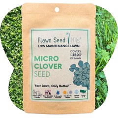 Micro Clover Seed, Organic Coated, Eco-Friendly, Low Growing, Low Maintenance