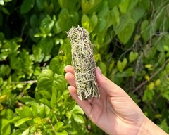 Rosemary Sage Smudge 4″ Sticks: Choose How Many (Wholesale Lots, Fresh Premium)