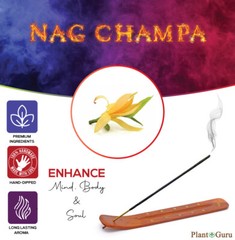NAG CHAMPA Incense Sticks 7″ Bulk Pack Wholesale Hand Dipped Lot