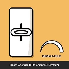 [6 Pack] LED Edison Filament ST21 6W 60W 120V Dimmable E26 2200K Warm Amber