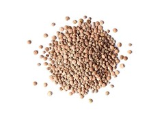Organic Red Lentils Whole – Non-GMO, Kosher, Raw, Sproutable – by Food to Live