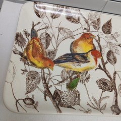 Williams Sonoma Marc Lacaze Botanical Birds Platter 15” year 2012
